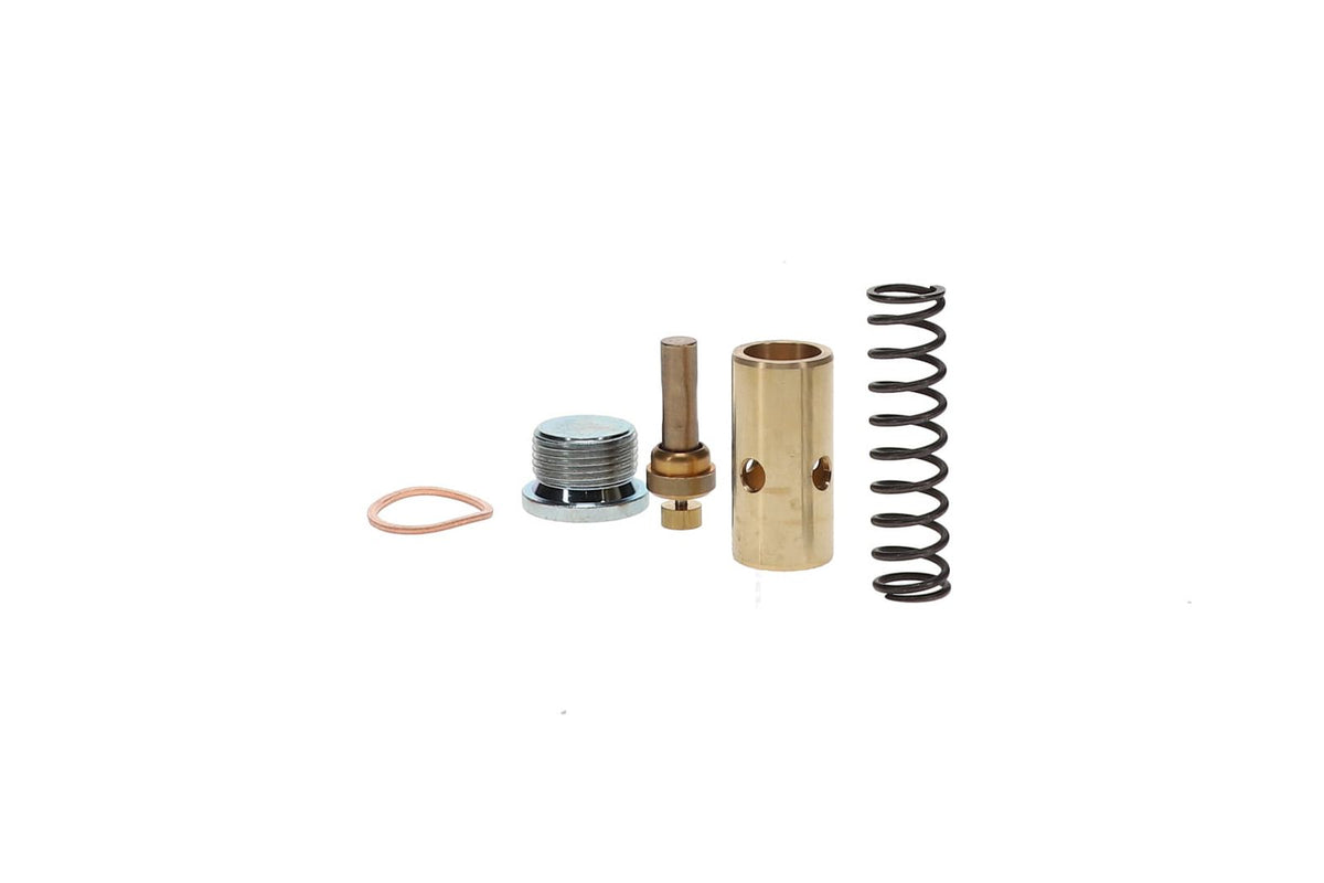 2420425667P Boge Set Of Parts Oil Regulator | Genuine OEM