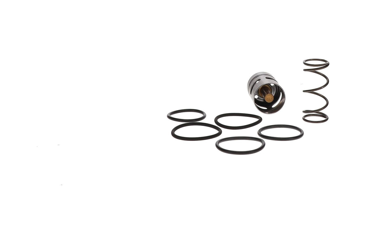 2420302166P Boge Set Of Parts Oil Regulator 70°C | Genuine OEM