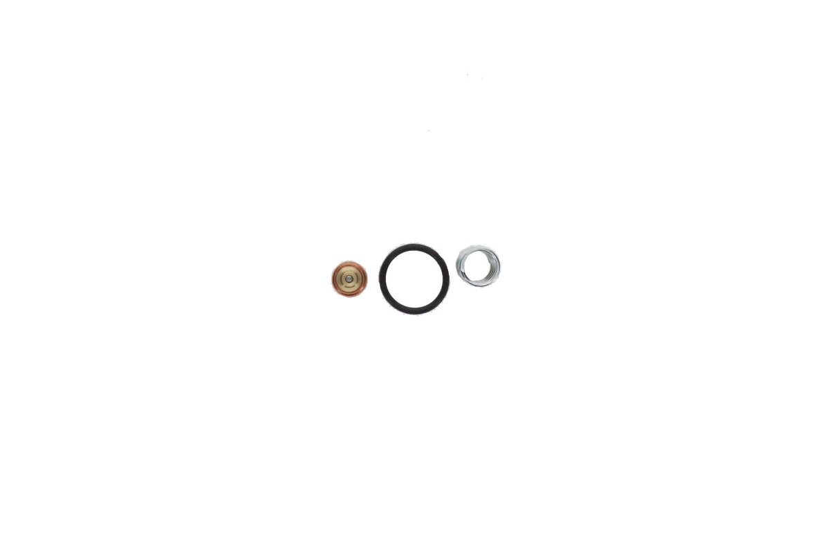 Non-OEM Thermostatic Valve Kit - Replaces CompAir CC1041338