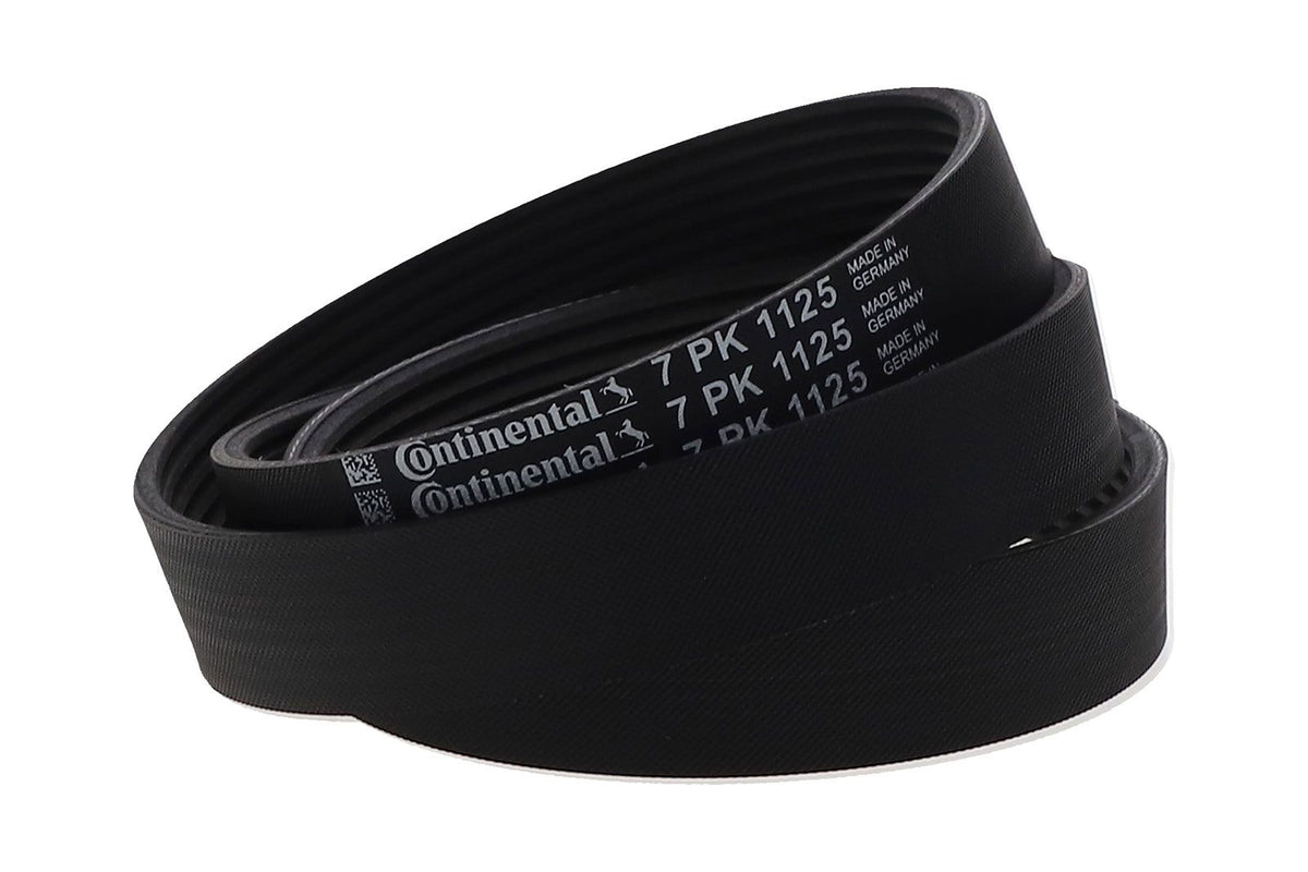 Non-OEM Belt- Pk7 | 3004558459