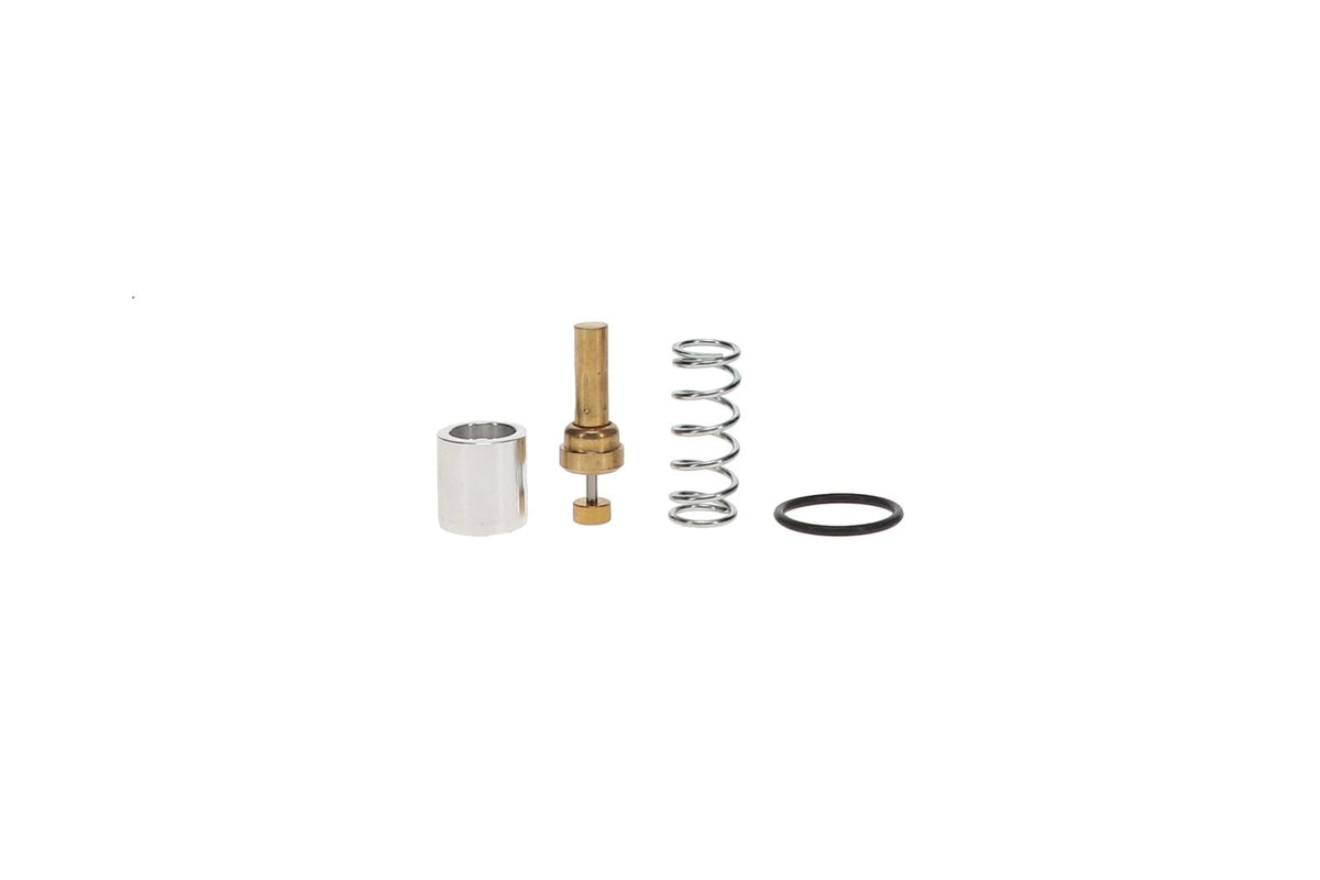 Non-OEM Set of wearing parts oil regulator 3/8 (replaces 2420316671P) | 3004640802