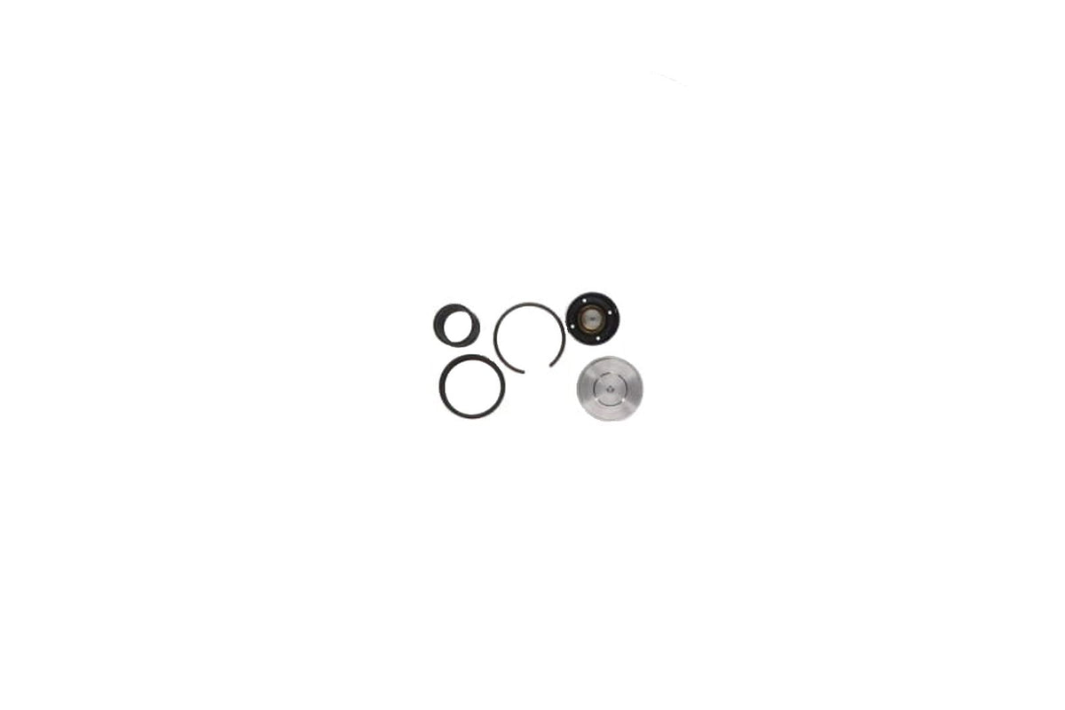 Non-OEM Kit, Thermostatic Valve (replaces 212.00214) | 3004678846