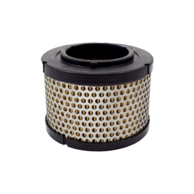 Remeza Air Filter - Non-OEM 4093100200 Default Title