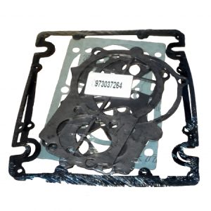 Gasket Kit B5900/B50?